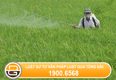 quy-dinh-ve-hoat-dong-dich-vu-bao-ve-thuc-vat