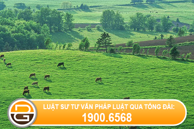quy-dinh-ve-thu-tien-su-dung-dat-khi-su-dung-dat-tu-nam-1994