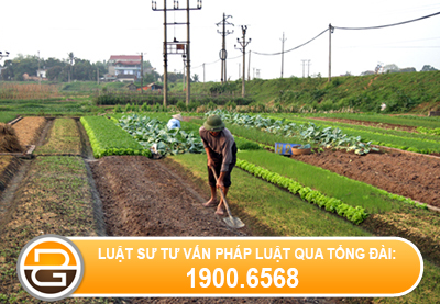 quyen-dinh-doat-dat-dai%283%29