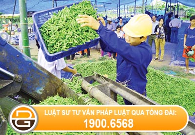 so-sanh-cong-ty-hop-danh-va-to-hop-tac.jpg