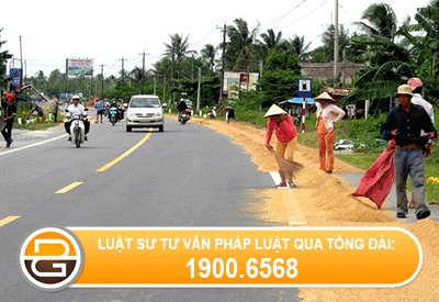 su-dung-long-duong-de-phoi-lua-co-vi-pham-phap-luat-khong