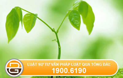 Thẩm định quy hoạch bảo vệ môi trường