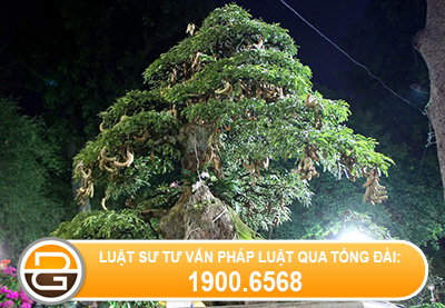 thanh-phan-hoi-dong-dinh-gia%281%29