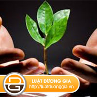 thu-tuc-cap-giay-chung-nhan-dang-ky-dau-tu-ra-nuoc-ngoai