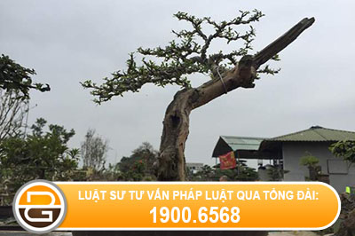 thu-tuc-chuyen-muc-dich-su-dung-dat-tai-phu-yen