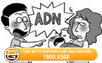 thu-tuc-nhan-con-ngoai-gia-thu