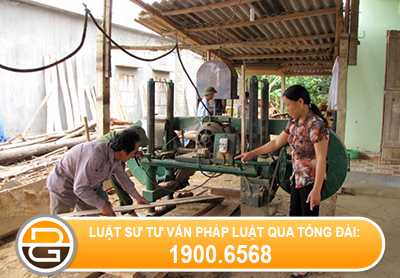 thu-tuc-thanh-lap-van-phong-dai-dien-cua-hop-tac-xa