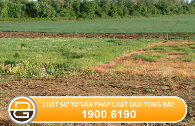tranh-chap-ve-dien-tich-dat-luu-khong