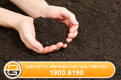 trung-dung-dat