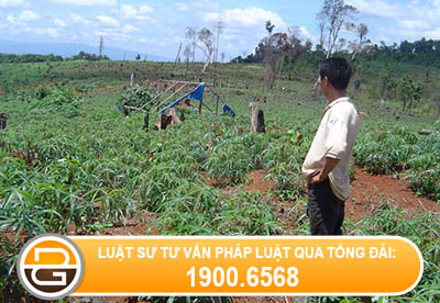 tu-y-lam-so-do-tren-phan-dat-cua-gia-dinh-nguoi-khac