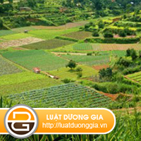 xu-ly-hanh-vi-do-chat-thai-ra-dat-trong-rung