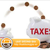 xu-phat-cha-nop-mau-08-MST