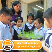 xu-phat-doi-voi-hanh-vi-go-vao-dau-tre-em