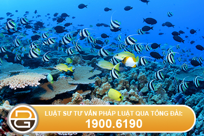 xu-phat-hanh-vi-quan-ly-van-hanh-cong-trinh-gay-that-thoat-lang-phi-tai-nguyen-nuoc