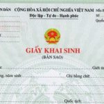 Mẫu tờ khai ghi vào sổ hộ tịch việc nuôi con nuôi