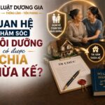 Quan hệ chăm sóc nuôi dưỡng có được chia thừa kế không?